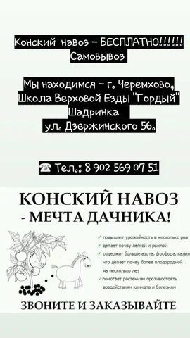 Бесплатный конский навоз для самовывоза - Для дома и дачи в Черемхово