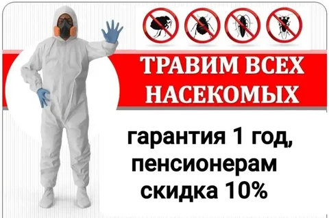 Уничтожение насекомых в Иркутской области - Компьютерная помощь в Иркутская область