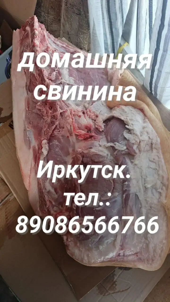 Продажа домашнего мяса молодого поросенка - Продукты питания (Барахолка) в Иркутск