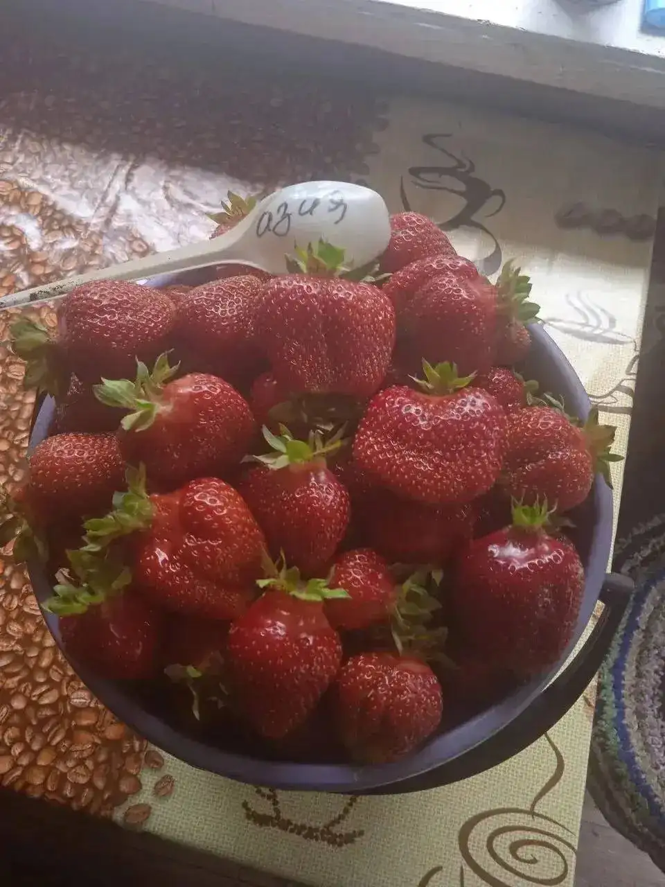 Саженцы сортовой клубники - Садоводство (Хобби и отдых) в Ангарск