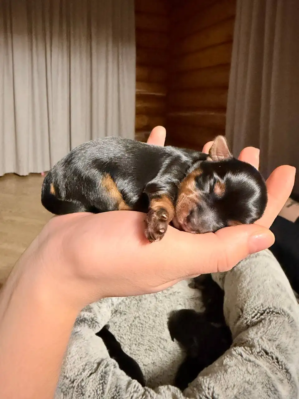 Продам/Куплю/Услуги в Иркутской области - Барахолка в Иркутская область