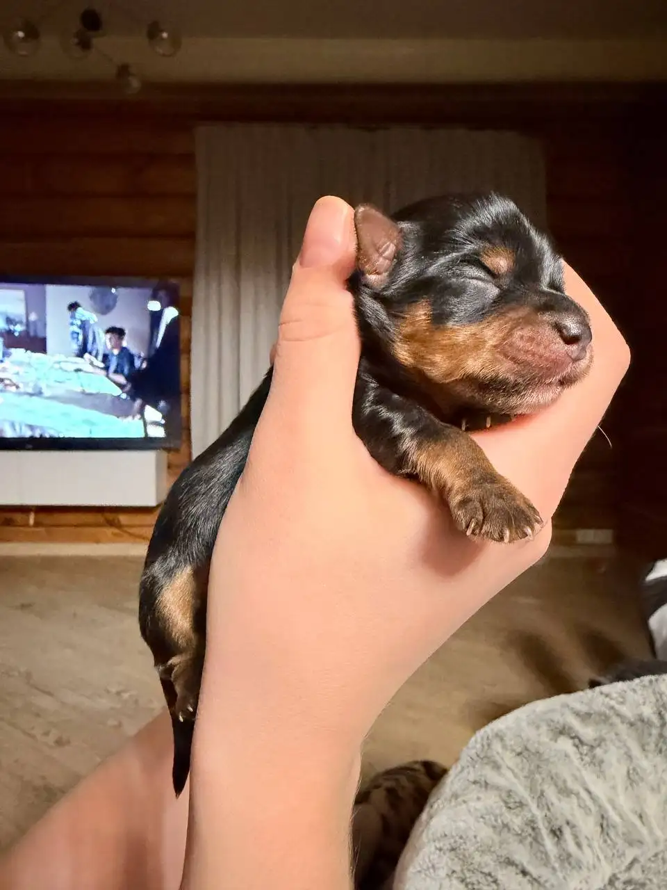 Продам/Куплю/Услуги в Иркутской области - Барахолка в Иркутская область