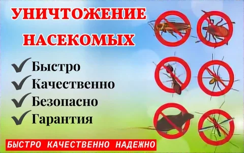 Объявление о продаже/покупке/услугах в Иркутской области - частное объявление в Иркутская область