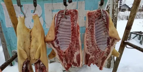 Продам мясо со своего хозяйства - Барахолка в Иркутская область