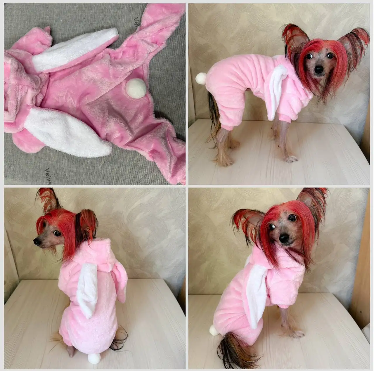 Плюшевые комбинезончики для животных - Одежда для животных (Животные) в Ангарск