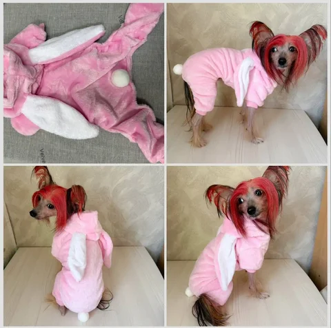 Плюшевые комбинезончики для животных - частное объявление в Ангарск