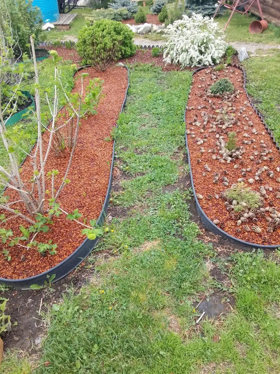 Продажа скорлупы кедрового ореха - Продукты питания (Барахолка) в Иркутская область