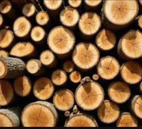 Дрова и стройматериалы в Братске и районах - Детские товары в Братск