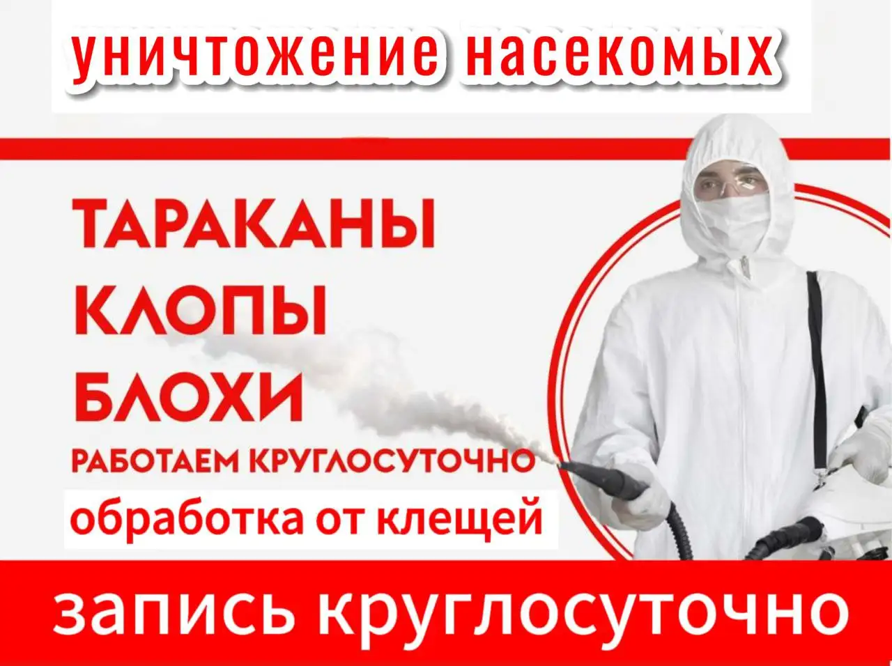 Уничтожение насекомых - Бытовые услуги (Услуги) в Иркутская область