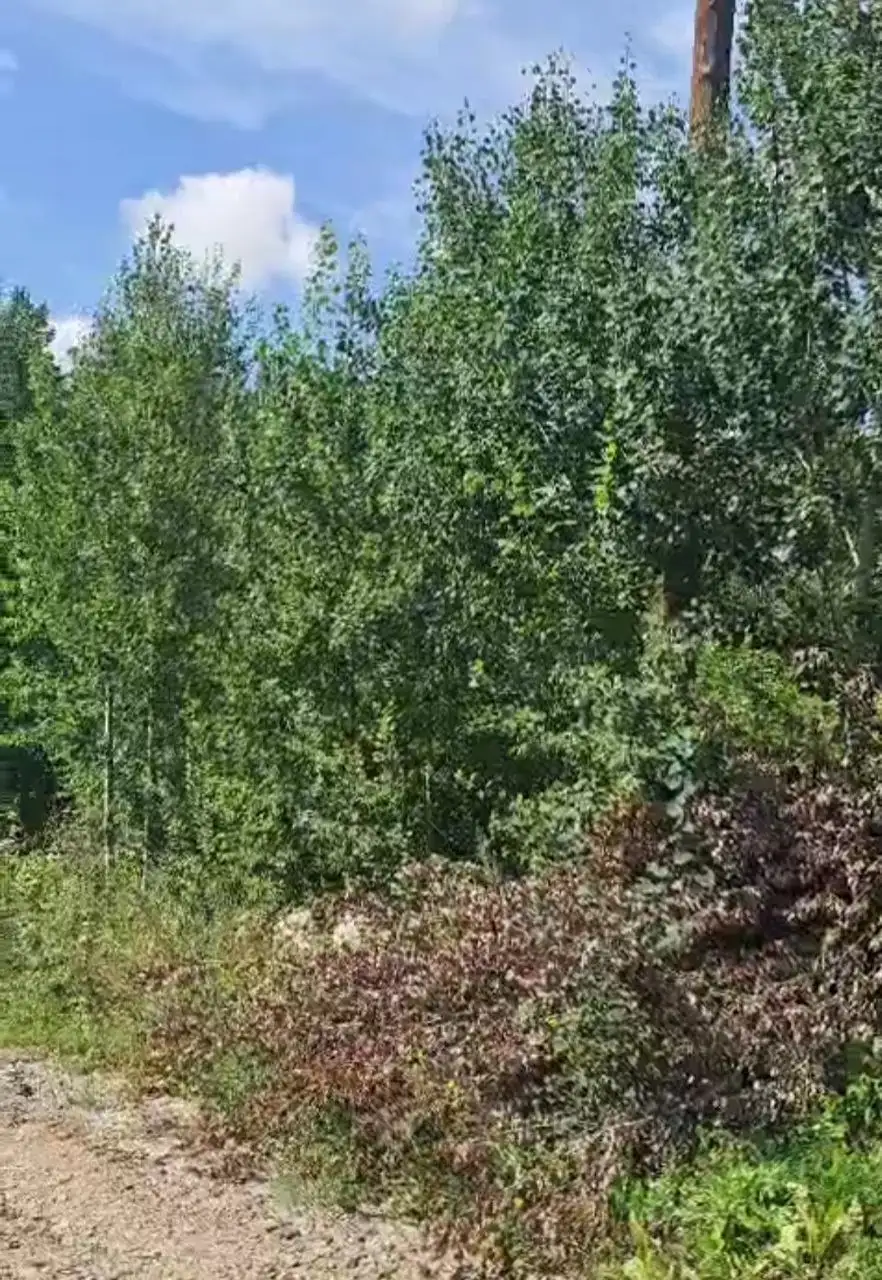 Продажа земельного участка 8 соток в СНТ "Птица" - Земельные участки (Недвижимость) в Иркутск