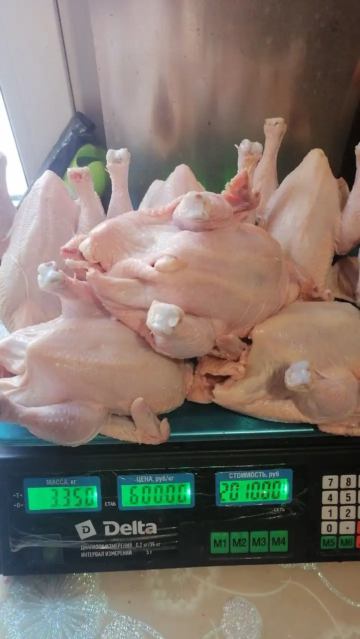 Продажа домашней птицы парной или охлажденной - Птица (Животные) в Иркутск