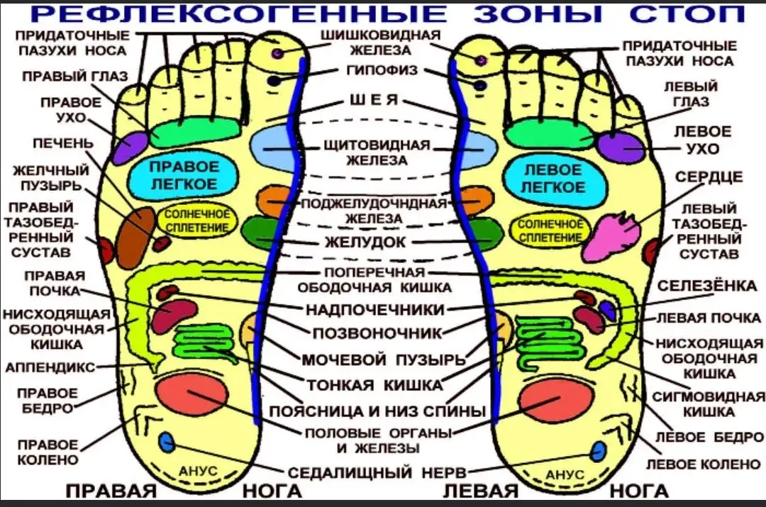 Массаж стоп/ноги - Массаж (Услуги) в Иркутск