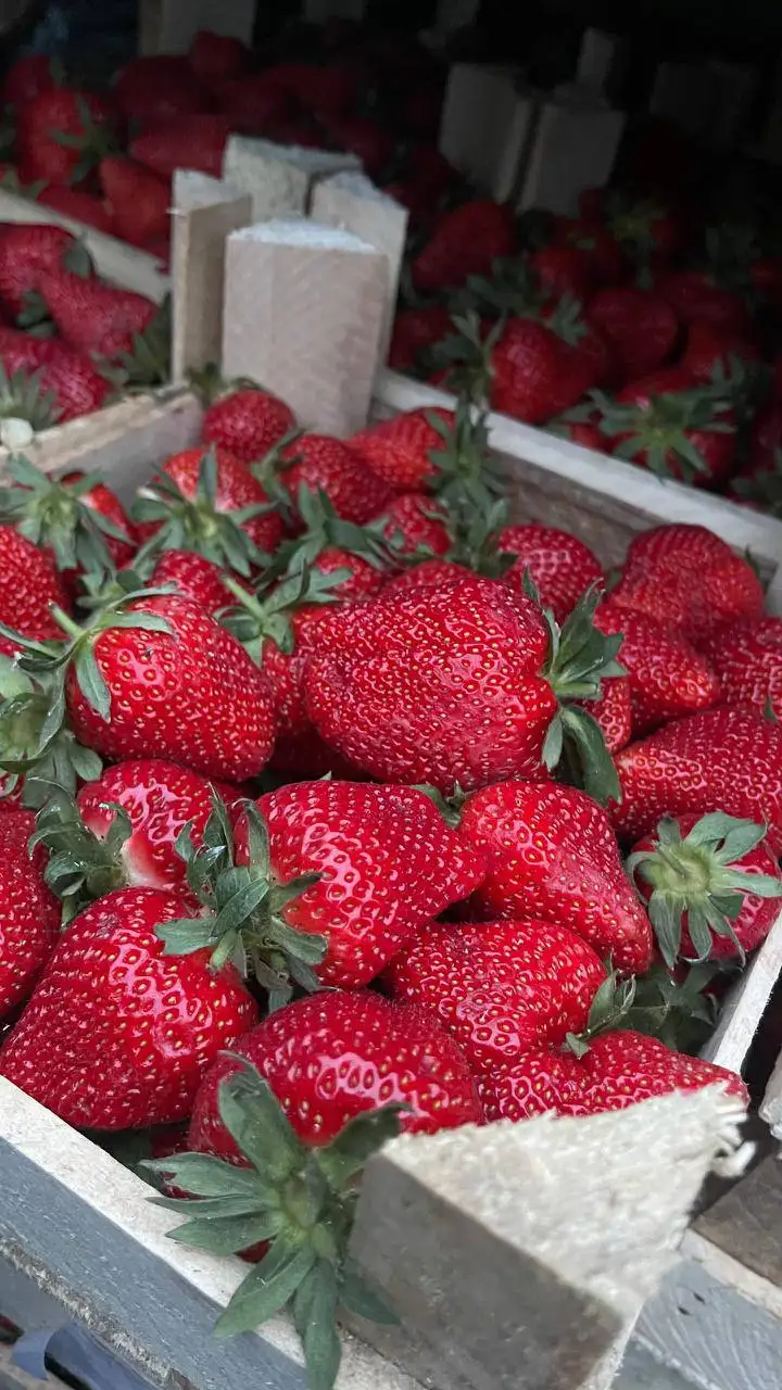 Свежая клубника в Иркутск - Продукты в Иркутск