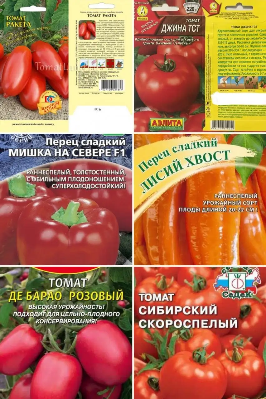 Рассада томатов, перцев, баклажанов - Рассада (Для дома и дачи) в Грановщина