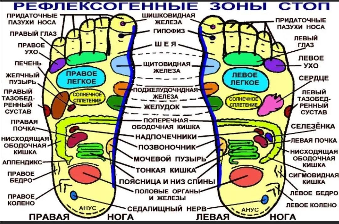 Профессиональный массаж стоп и ног - Услуги в Иркутск