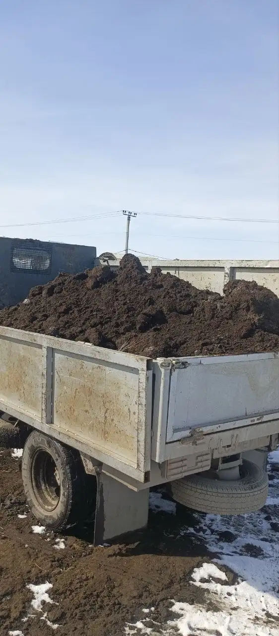 Доставка сыпучих грузов и вывоз мусора - Грузоперевозки и вывоз мусора (Услуги) в Неизвестно