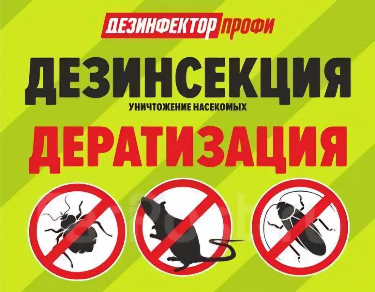 Уничтожение насекомых - Дератизация и дезинсекция (Услуги) в Иркутская область