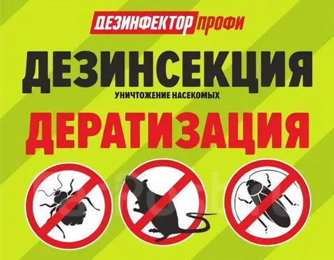 Уничтожение насекомых - Грузчики в Иркутская область