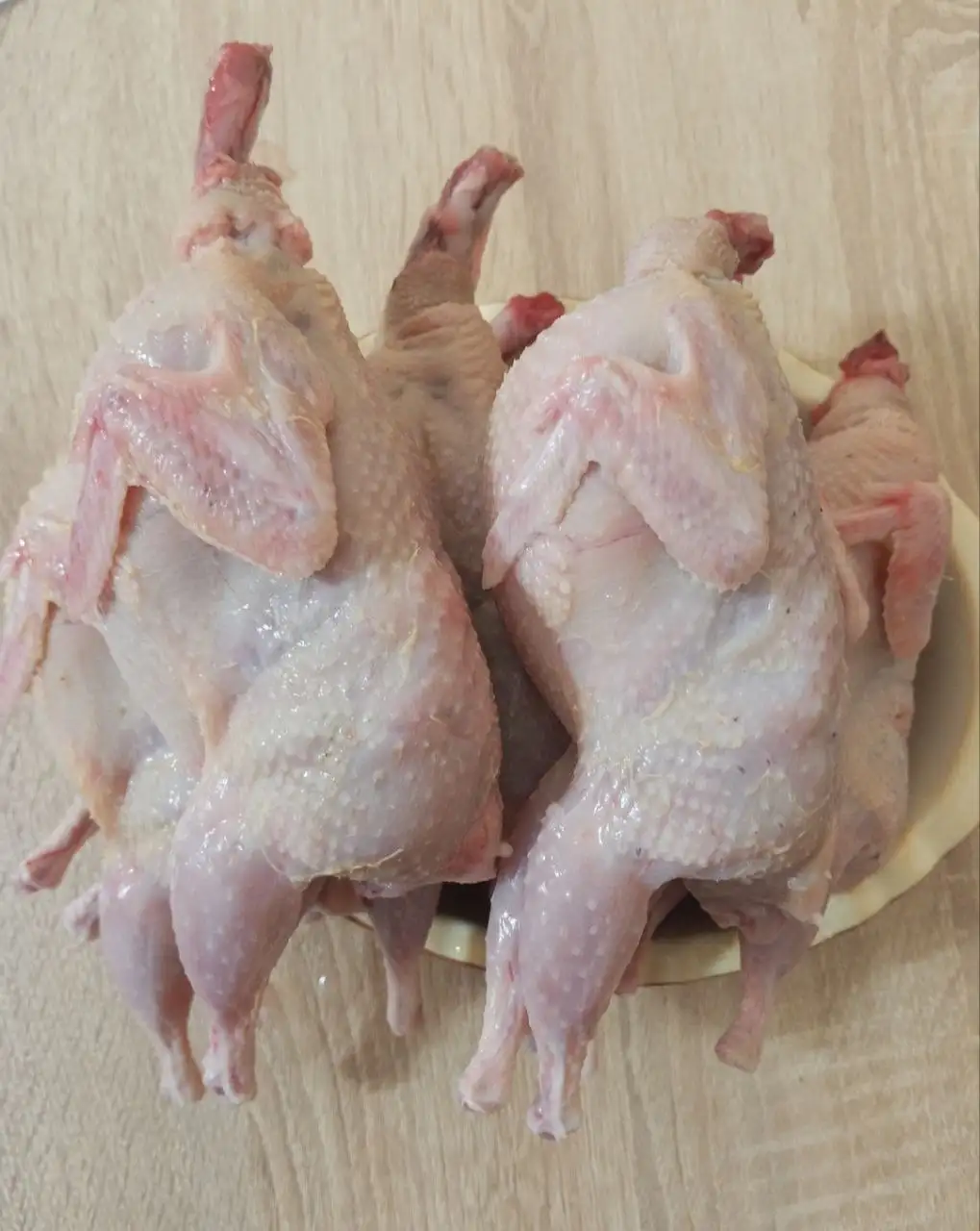 Продажа перепелов и продукции - Птицы (Животные) в Иркутская область