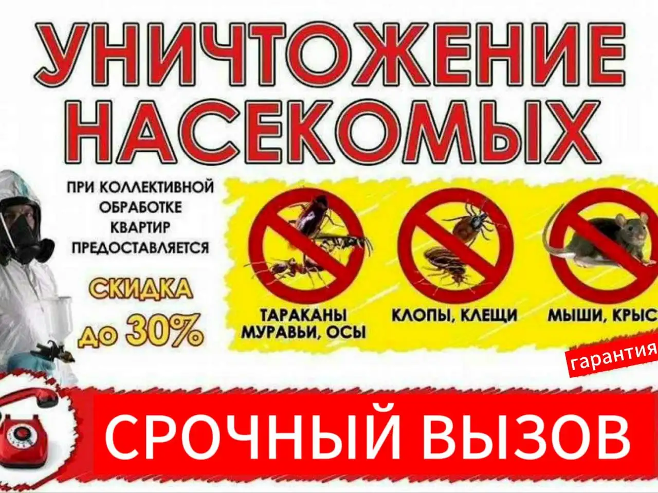 Уничтожение насекомых - Дезинсекция (Услуги) в Иркутская область