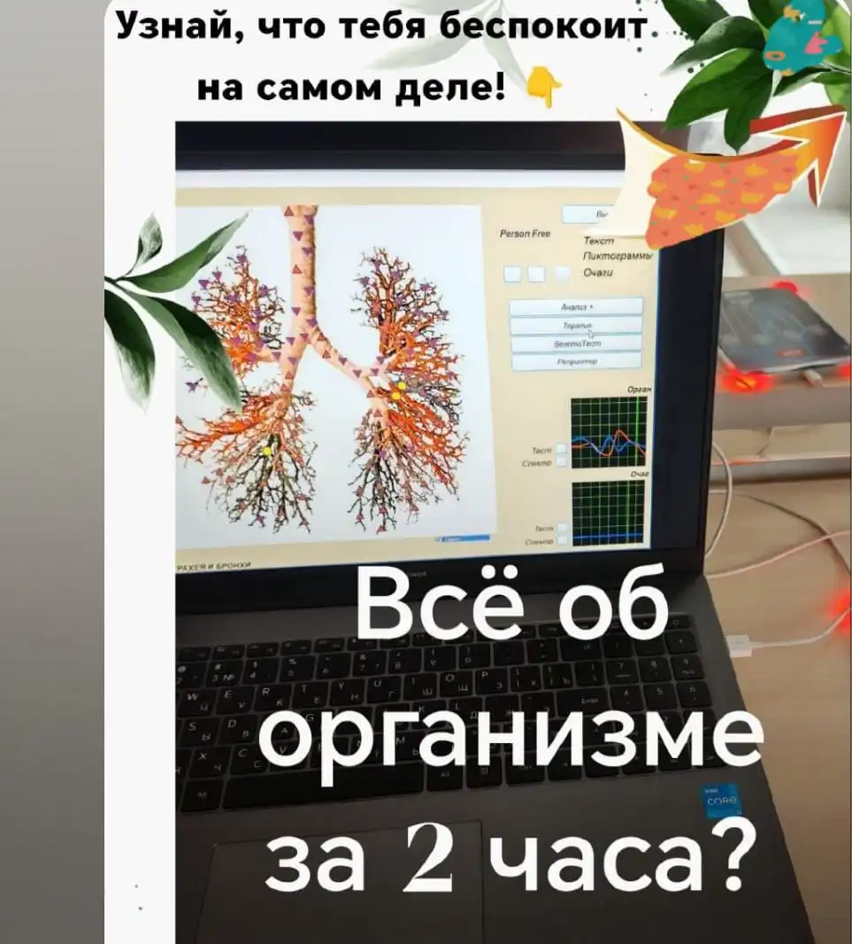 Комплексная медицинская диагностика и поддержка организма - Медицинские услуги (Услуги) в Красноярск