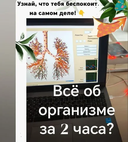 Комплексная медицинская диагностика и поддержка организма - Услуги в Красноярск