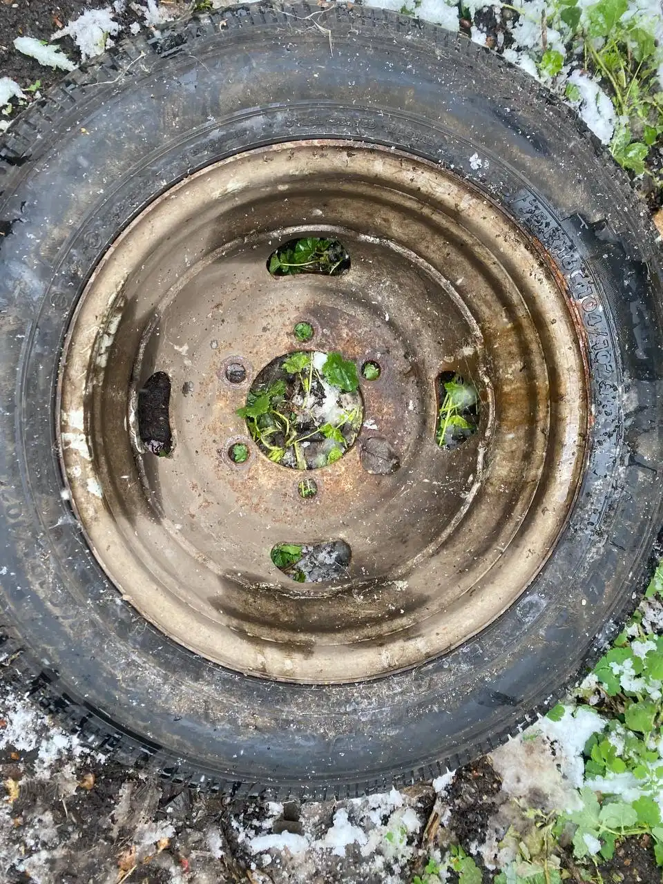 Продаю комплект колес на Газель