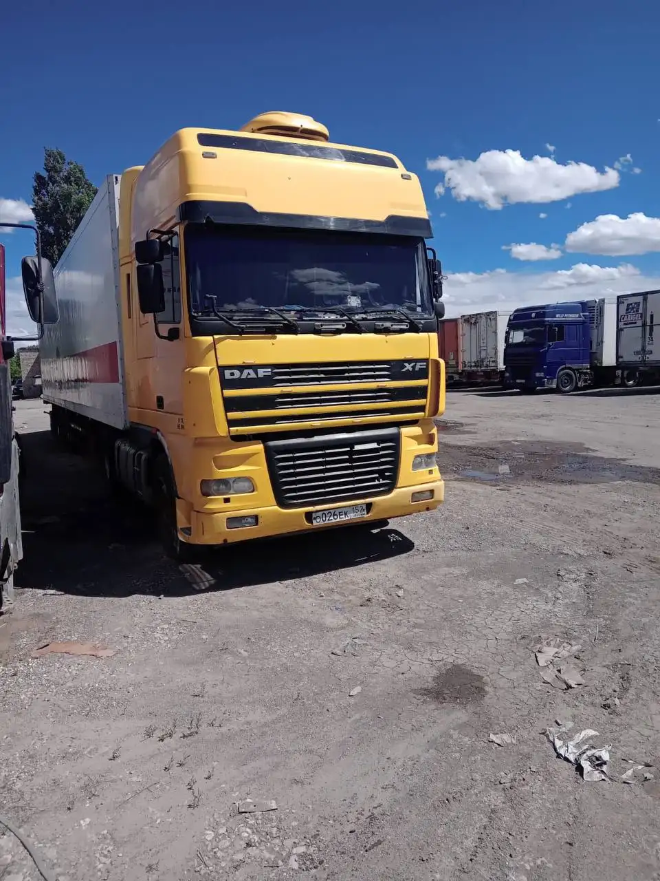 DAF XF95 + рефрижератор SCHMITZ (1998) - Грузовые автомобили (Авто) в Нижний Новгород