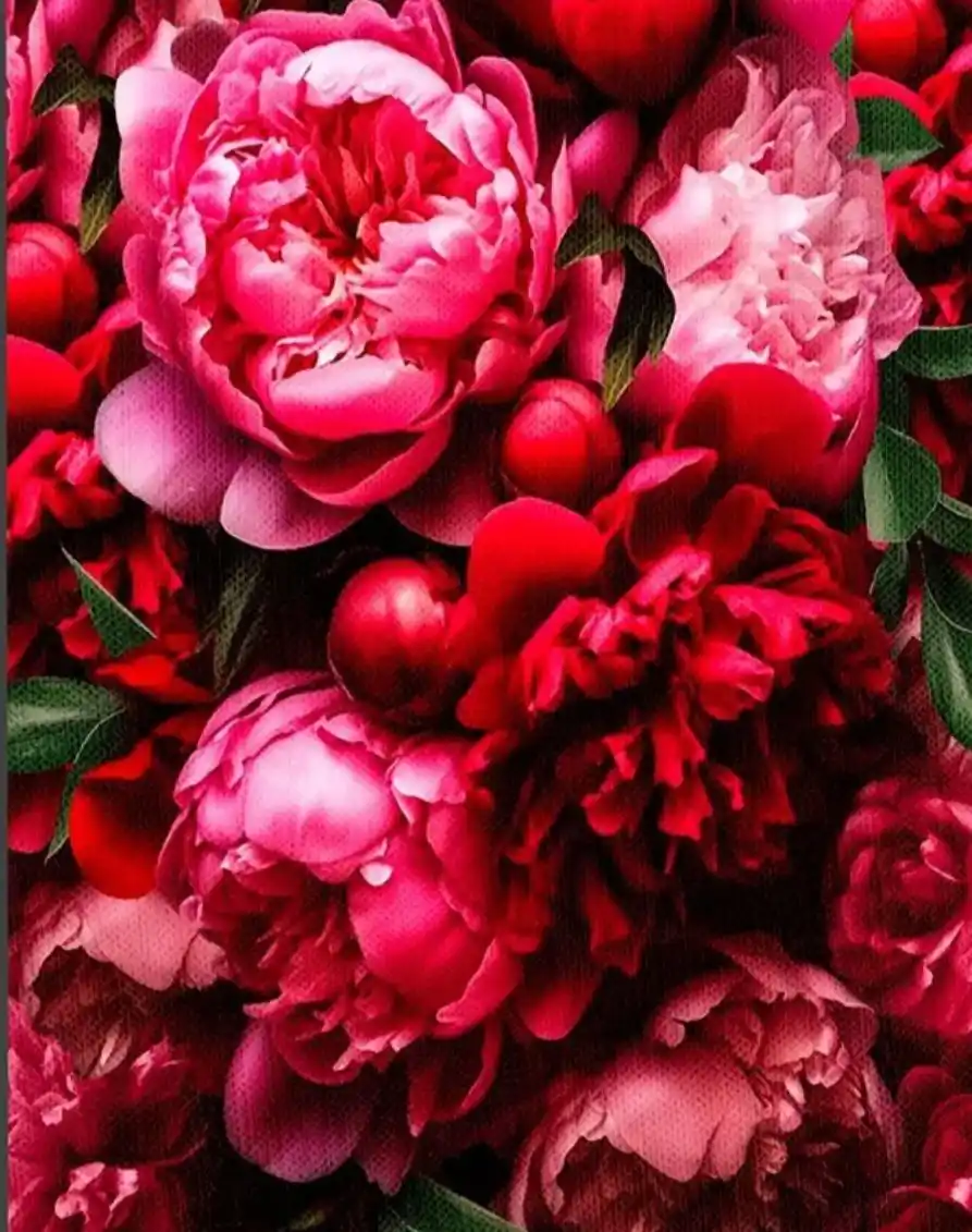 Рисую картины