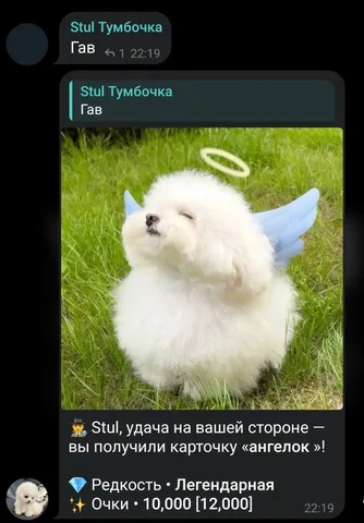 Карточные боты по животным - Водный спорт в Ижевск