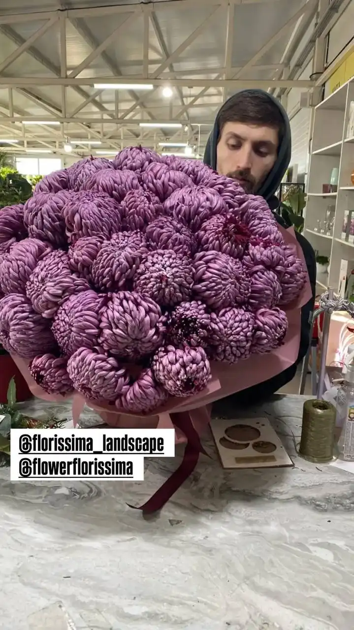 Комнатные и уличные растения в Ростове-на-Дону