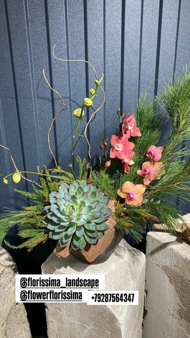 Комнатные и уличные растения в Ростове-на-Дону