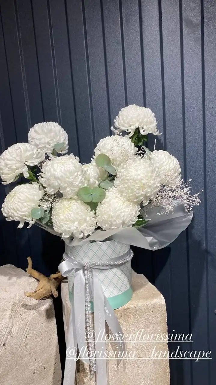 Комнатные и уличные растения от Флориссима в Ростове-на-Дону