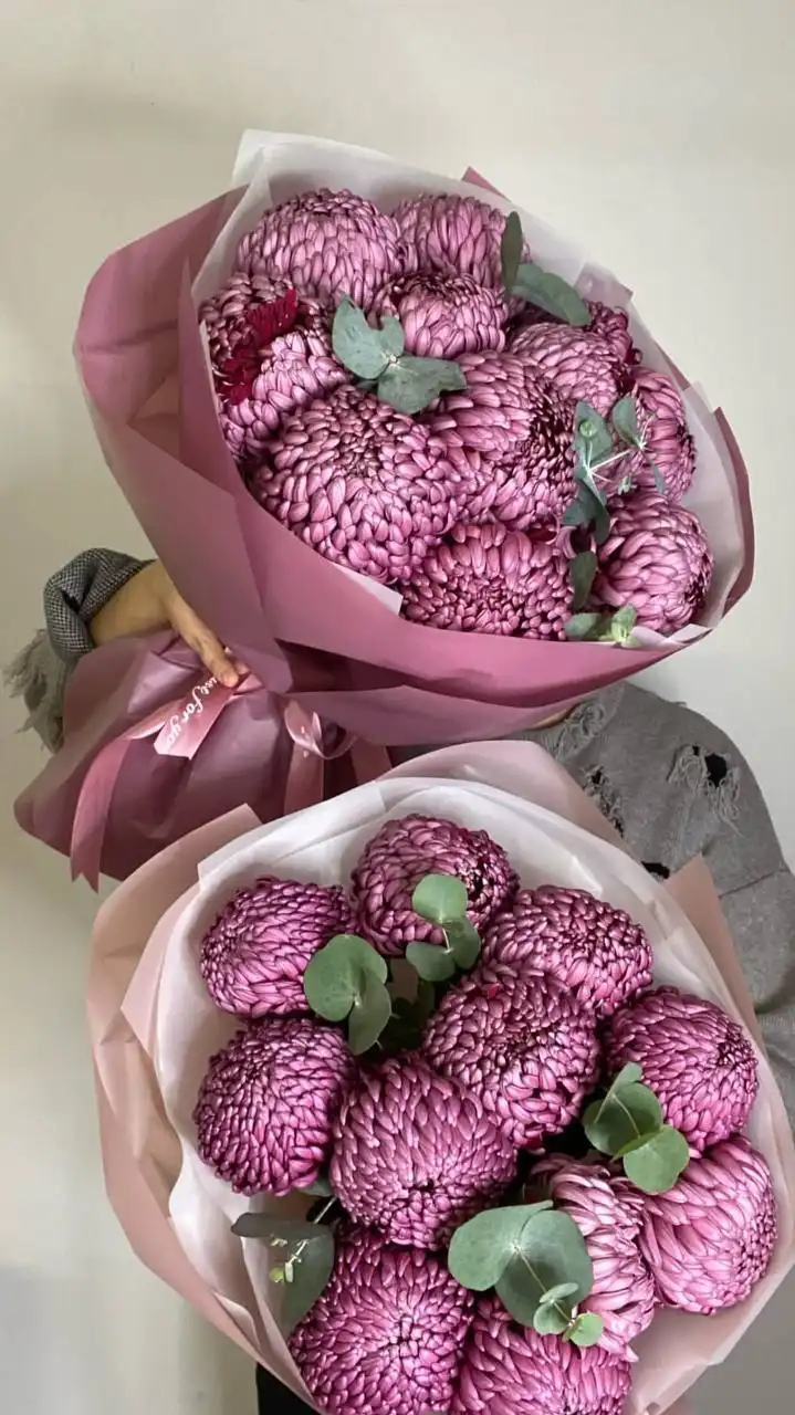 Комнатные и уличные растения от Флориссима в Ростове-на-Дону