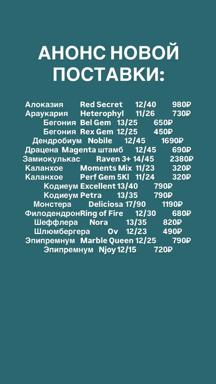 Анонс новой поставки комнатных и уличных растений