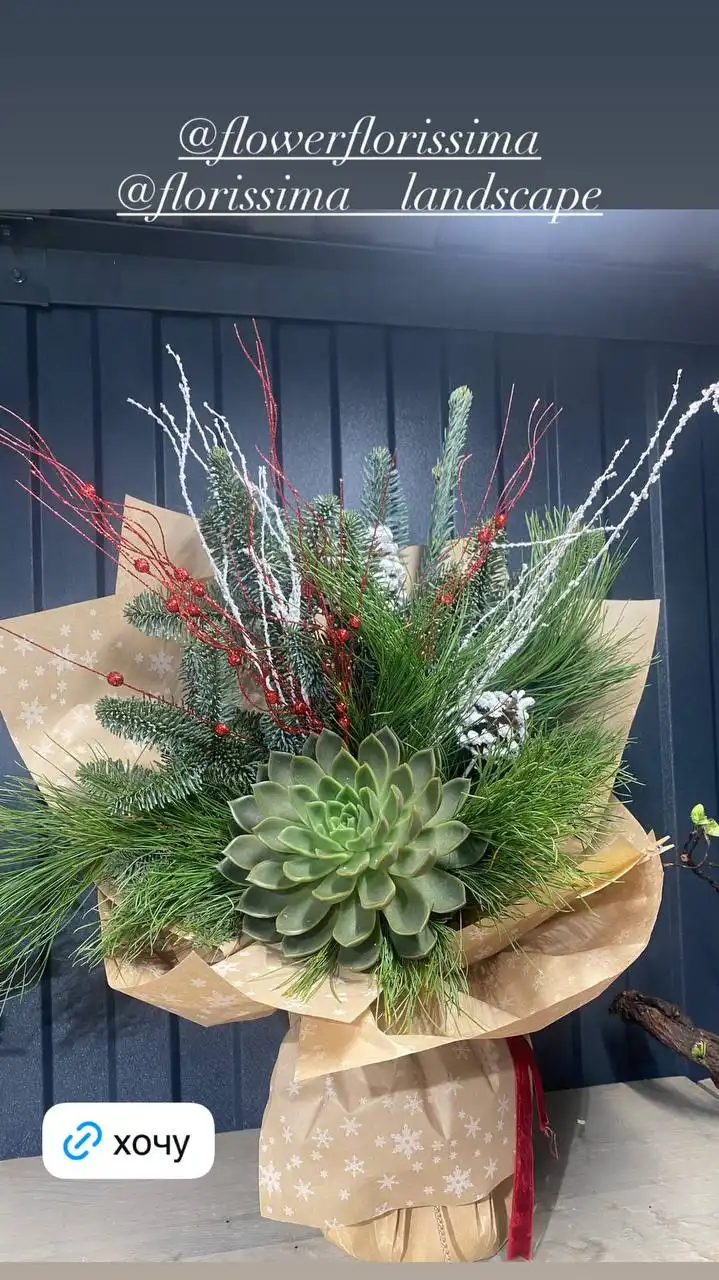 Комнатные и уличные растения