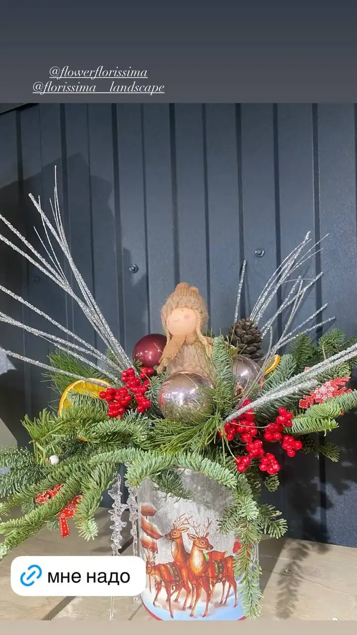 Комнатные и уличные растения