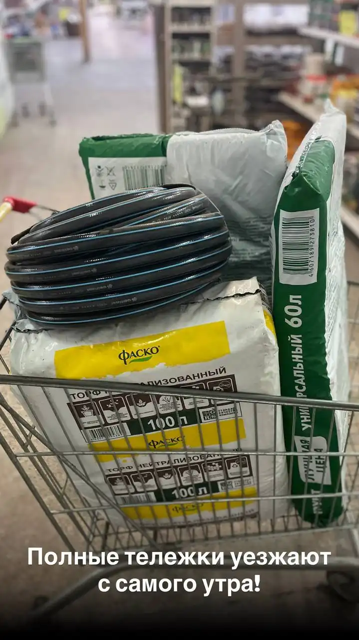 Продажа растений и товаров для садоводства