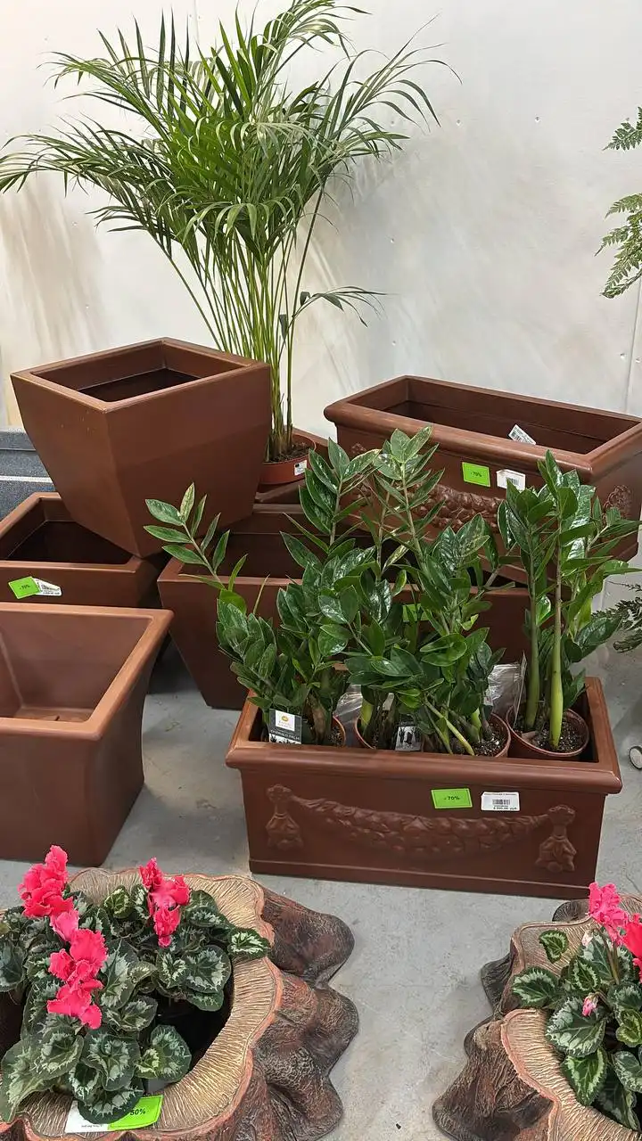 Шикарные кашпо со скидкой 70%