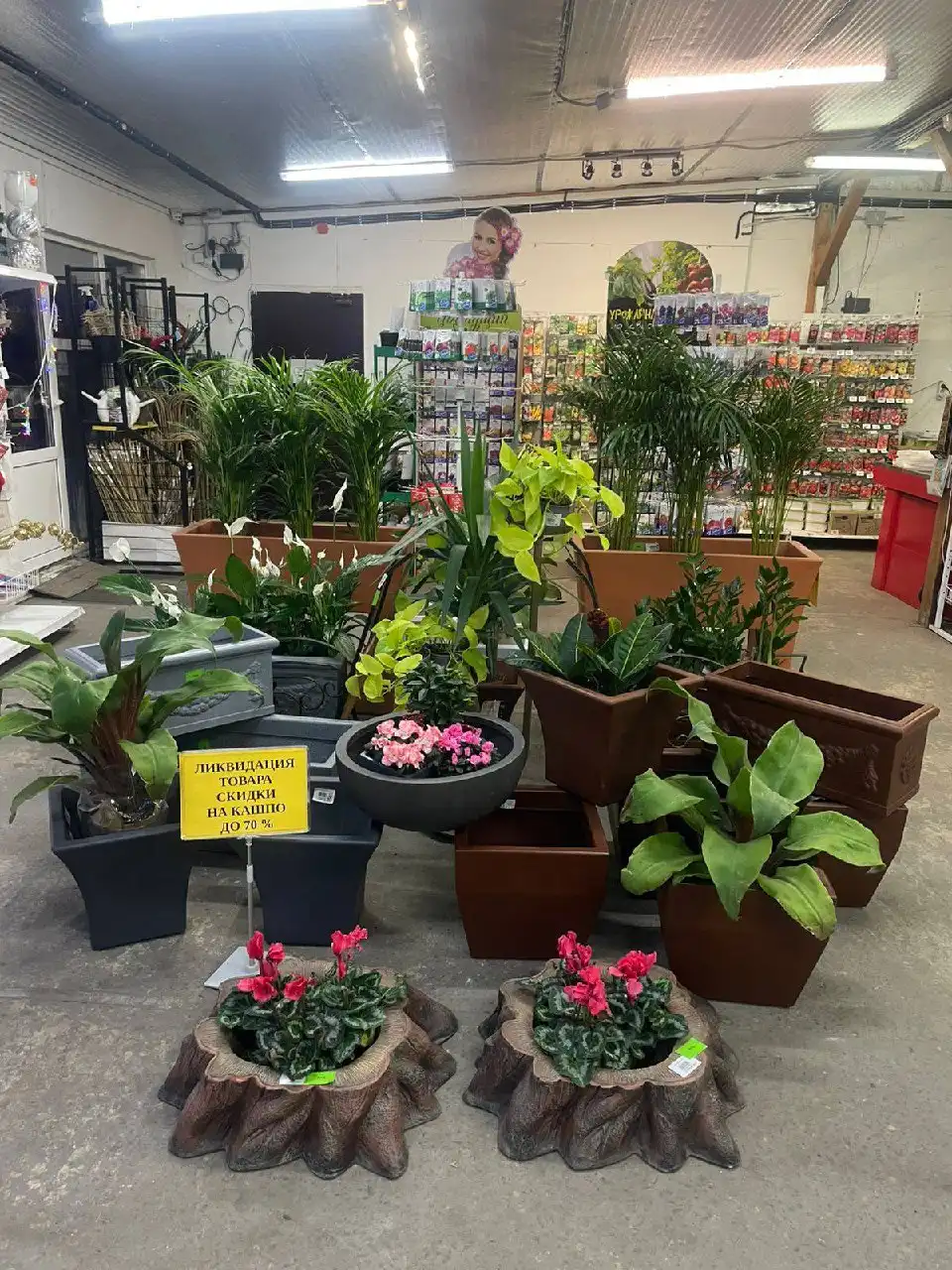 Ликвидация комнатных и уличных растений