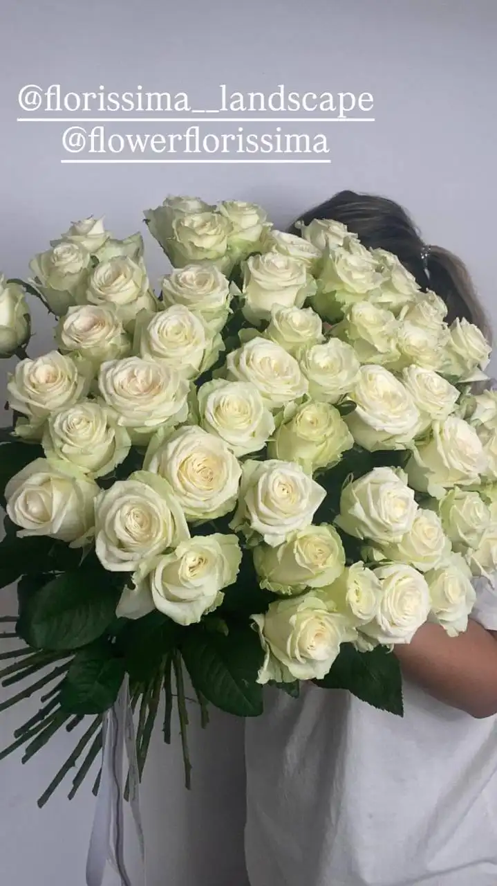 Растения для посевов от Флориссима в Ростове-на-Дону - Хобби и отдых в Ростов-на-Дону