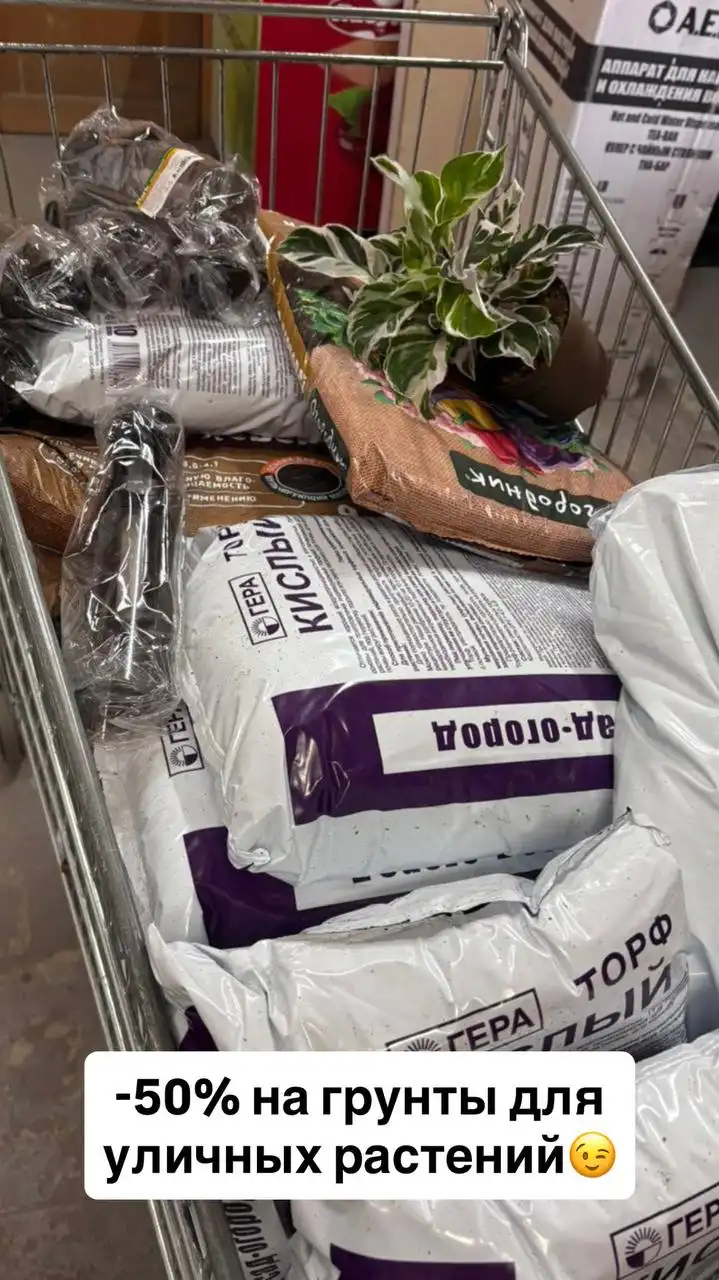 Скидки на растения и садовые товары - Растения и садоводство (Для дома и дачи) в Ростов-на-Дону