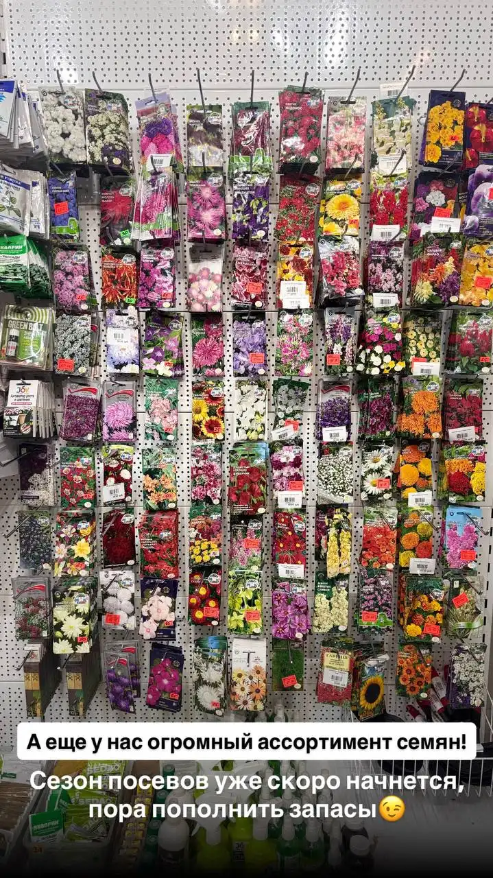 Растения во Флориссима Ростов-на-Дону