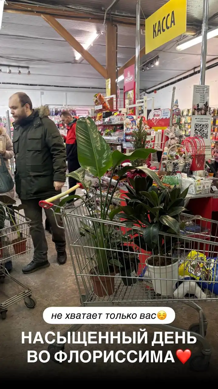 Растения во Флориссима Ростов-на-Дону