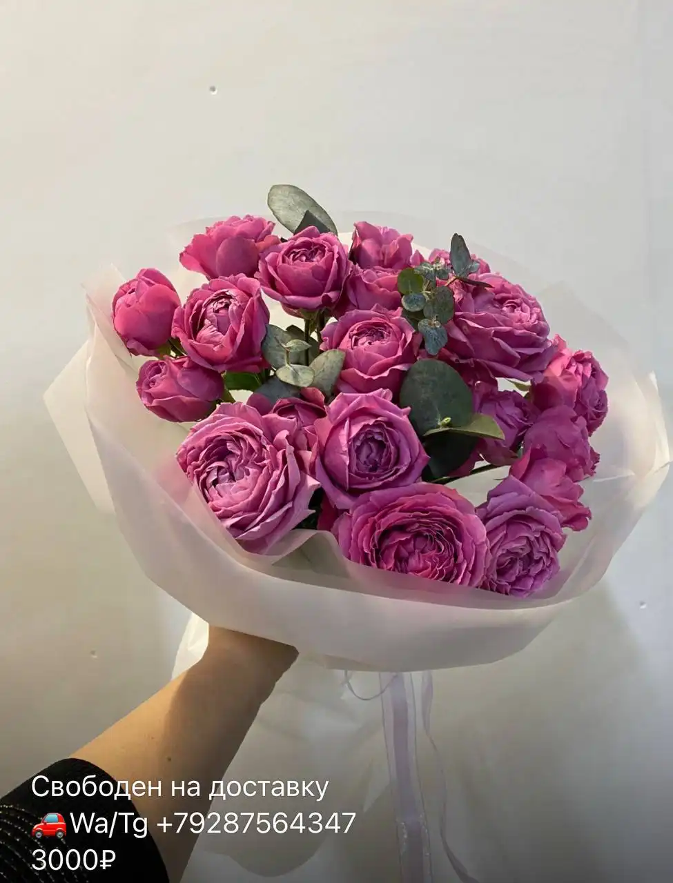 Скидка 30% на комнатные растения