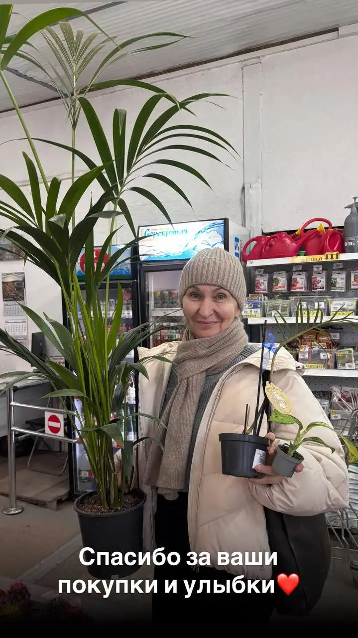 Скидка на комнатные растения во Флориссима