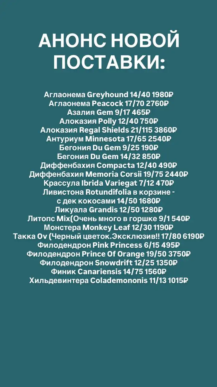 Анонс новой поставки комнатных и уличных растений - Растения (Хобби и отдых) в Ростов-на-Дону