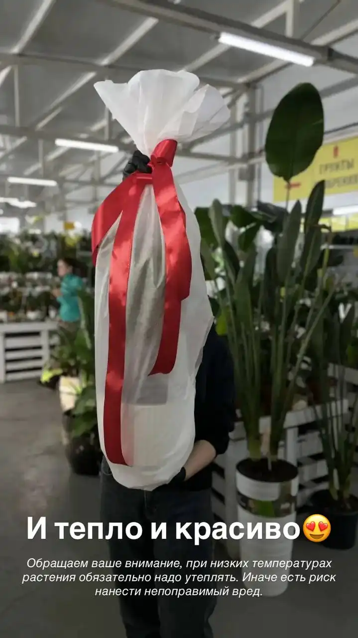 Укрывной материал для комнатных растений - Бытовая техника в Ростов-на-Дону