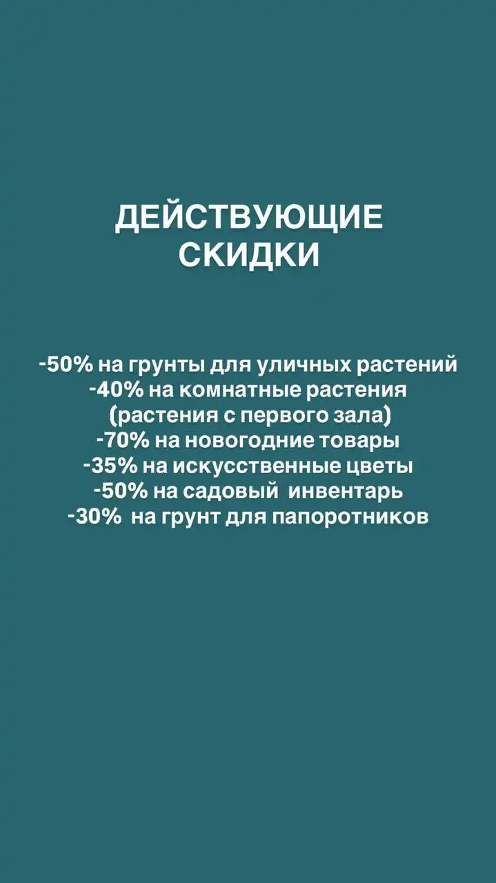 Скидки на грунт для папоротников и эксклюзивные растения - Растения (Хобби и отдых) в Ростов-на-Дону