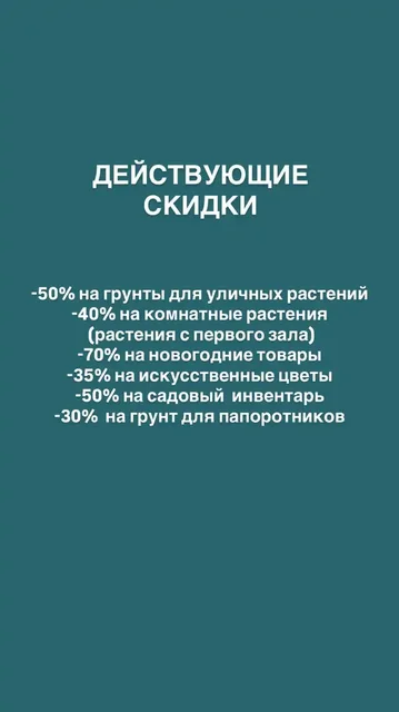 Скидки на грунт для папоротников и эксклюзивные растения - Хобби и отдых в Ростов-на-Дону